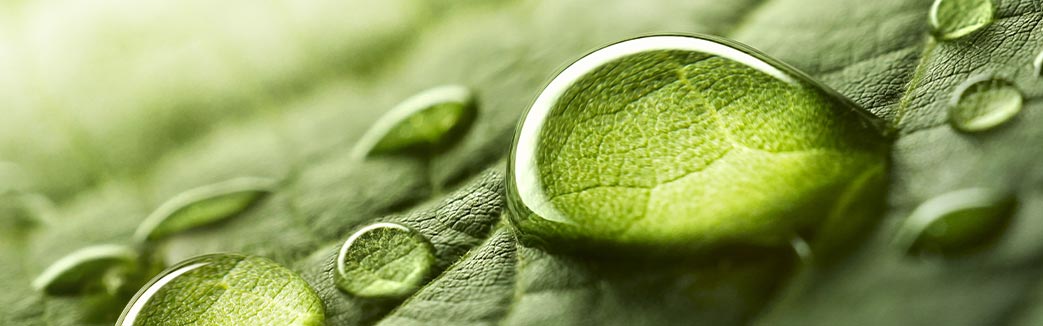 Riesgo en Sistemas de Gestión Bajo Normas ISO Riesgo en Sistemas de Gestión Bajo Normas ISO