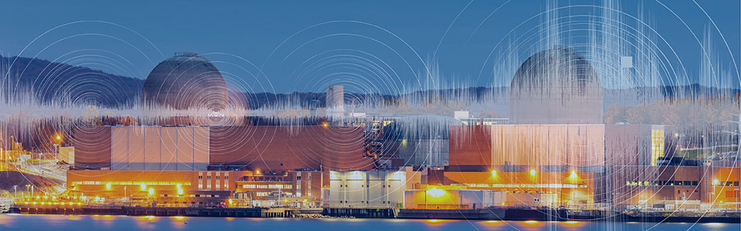 Nuclear Power Plants and Earthquakes